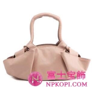 ロエベ　ショルダーバッグ　ナッパ　アイレ　ＮＡＰＰＡ　ＡＩＲＥ LOEWE 309 82 1021